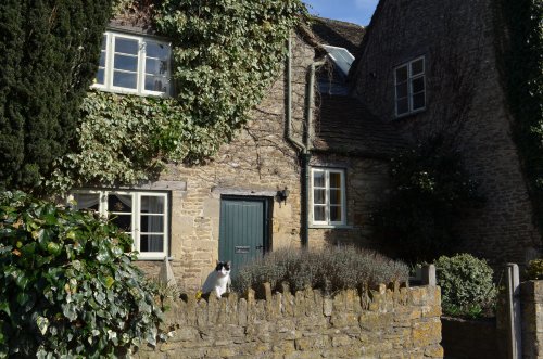 Guard Cat, Lacock