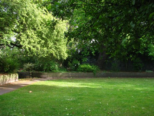 Sunlit Bench