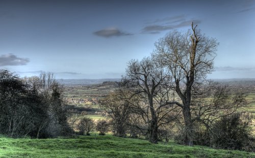 View from Leckhampton Hill viewpoint, Cheltenham