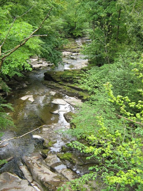 View on Kirkby Stephen walk via Podgill Viaduct