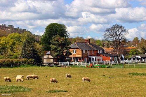 Stour Valley Spring, Shillingstone.