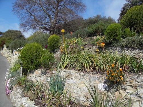 Ventnor Botanical Garden