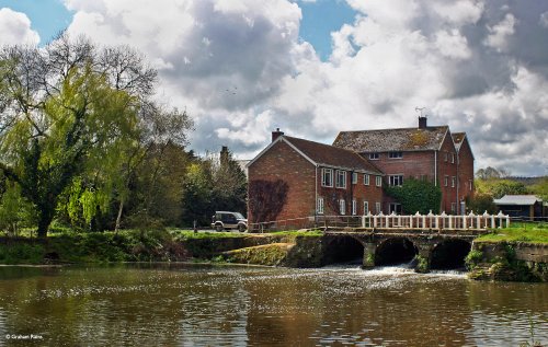 Stour valley Spring, Stourpaine.