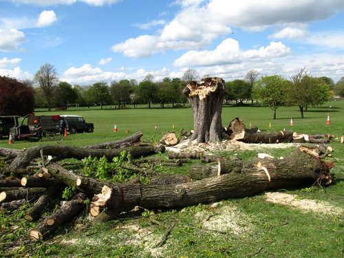 Hall Park, Rushden