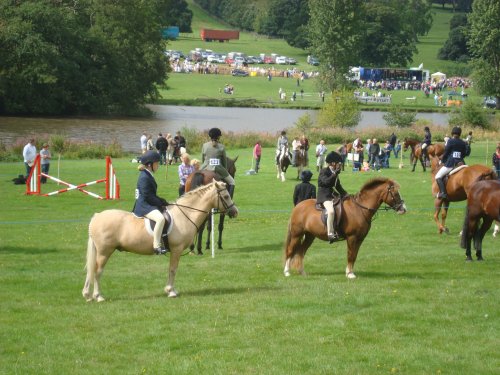 Ripley Show, Aug 2011