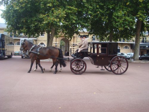 The Royal Mews