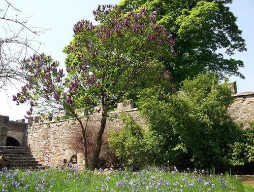 Auckland Castle, Bishop Auckland, Durham  24 May 2012