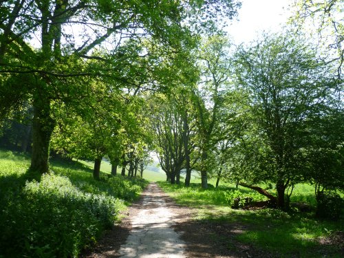 A walk through farmland in Brixham.