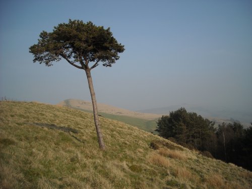 Back Tor, Castleton