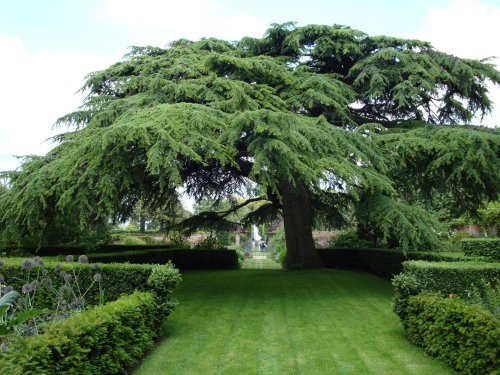 Hidcote Garden