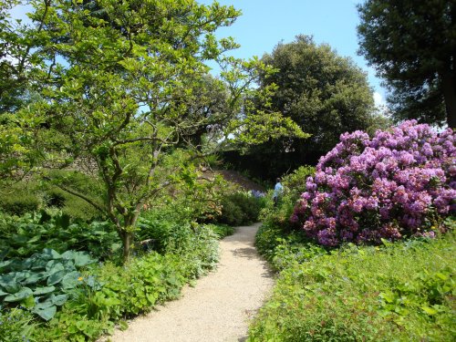 Hidcote Garden