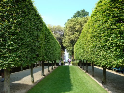 Hidcote Garden