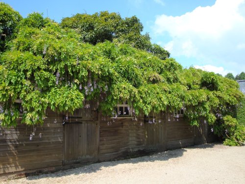 Hidcote Garden