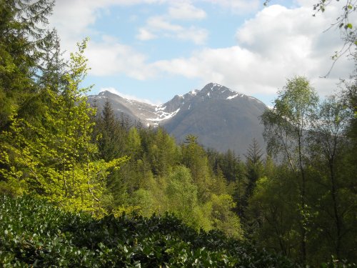 Glencoe Highland