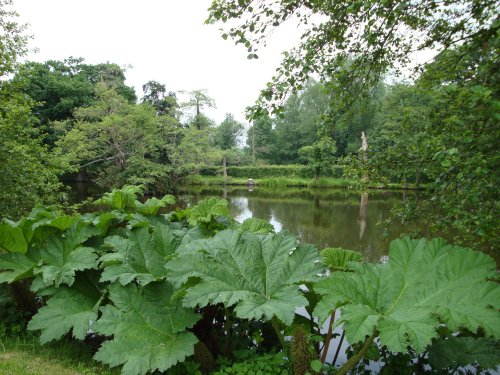 Coughton Court June 2008