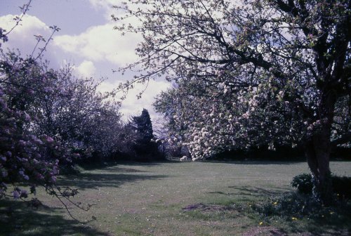 Friars Park , Carmarthen, in 1984