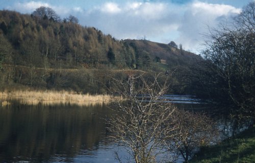 Autumn at Bishops Ponds, Abergwili in 1972