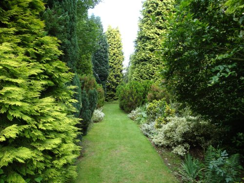 Great Comp Garden, June 2008