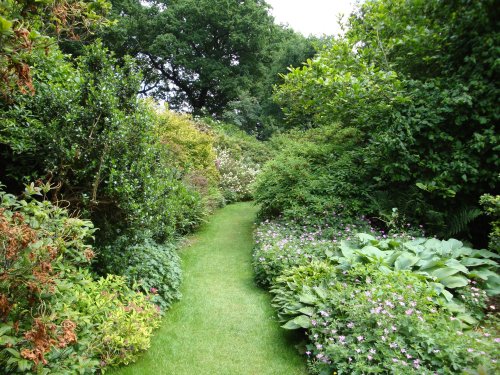 Great Comp Garden, June 2008