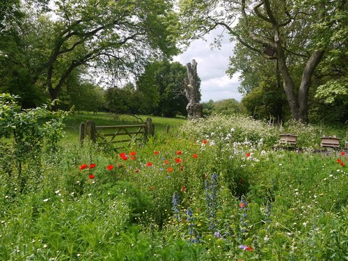 Hidcote