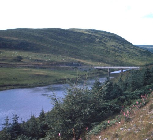 The head of Llyn Brianne