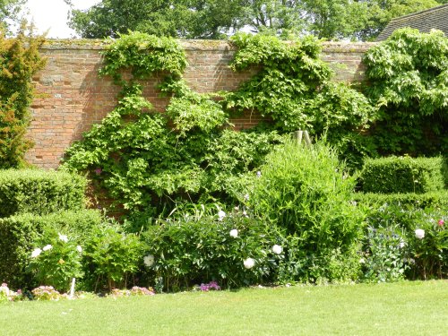 Baddesley Clinton June 2011