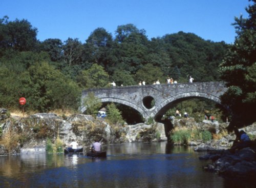 The River Teifi at Cenarth