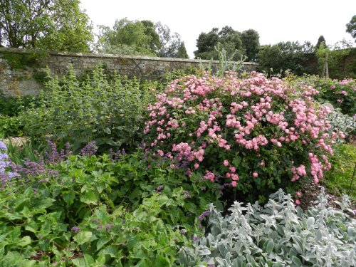 Wakehurst Place 24 June 2011