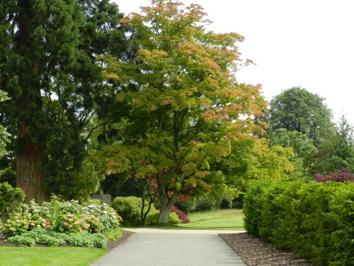 Wakehurst Place 24 June 2011