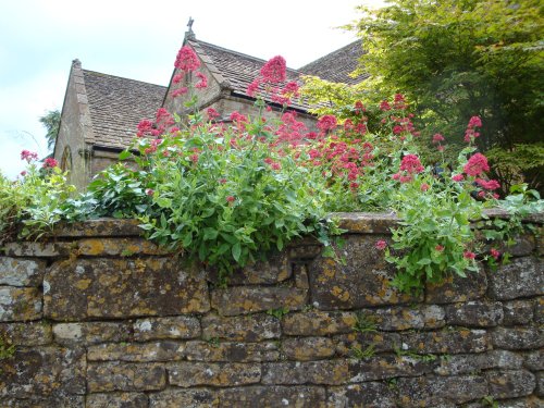 Montacute June 2008