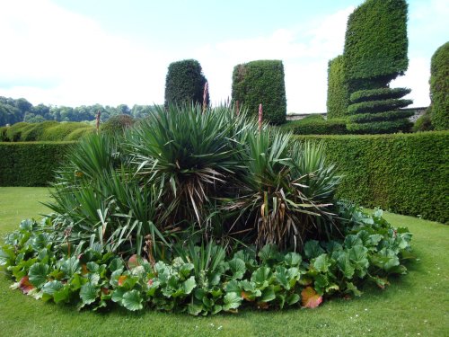 Montacute House June 2009