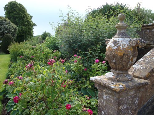 Montacute House June 2009