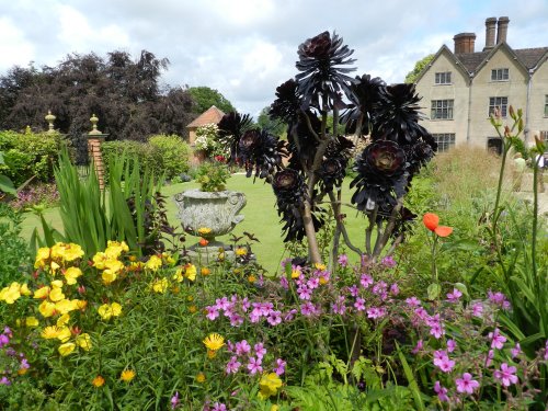 Packwood House 18 June 2011