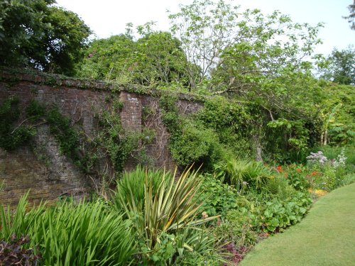 Trelissick Gardens June 2009