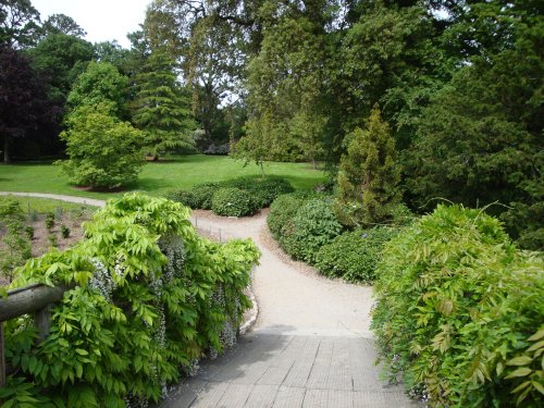 Trelissick Gardens June 2009