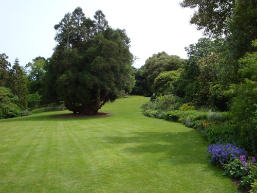 Trelissick Gardens June 2009