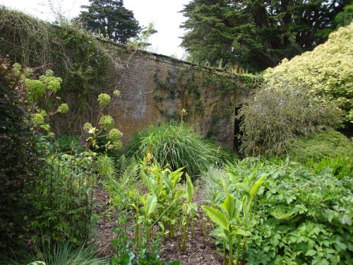 Trelissick Gardens June 2009