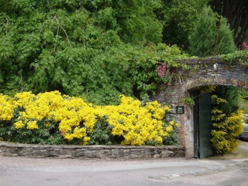 Trelissick Gardens June 2009