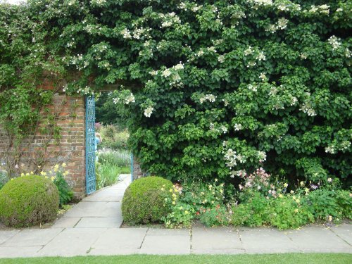 Sissinghurst June 2008