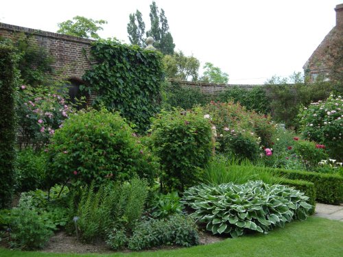 Sissinghurst June 2008