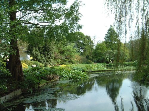 Beth Chatto Gardens, May 2001