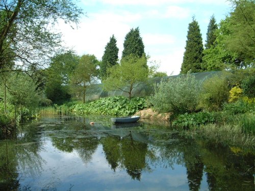 Beth Chatto Gardens, Essex