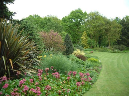 Beth Chatto Gardens, May 2001