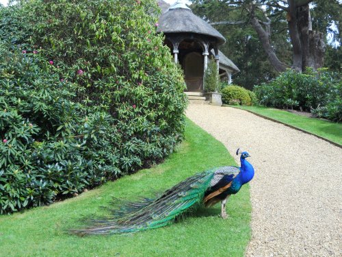 Old Warden, Bedfordshire