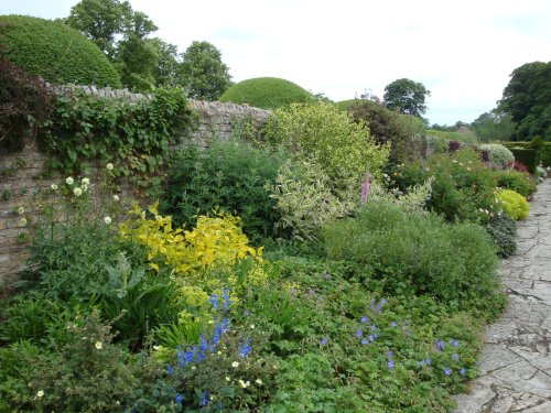 Lytes Cary Manor, June 2009