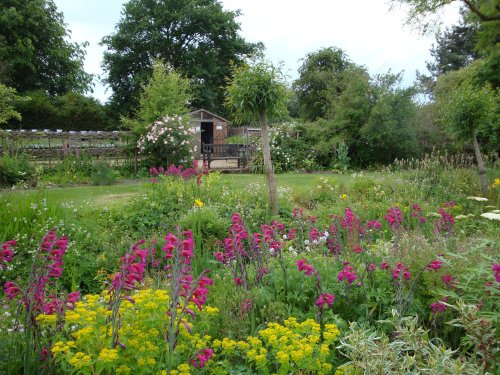 East Lambrook Manor, June 2009