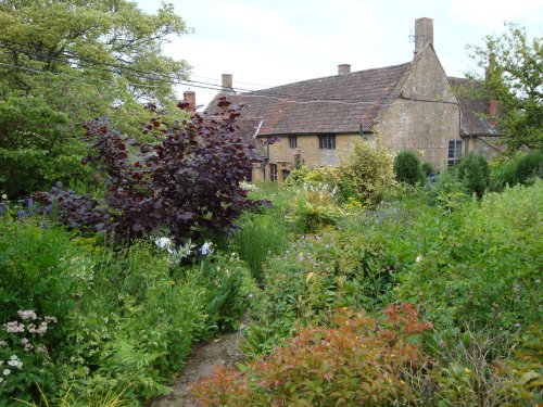 East Lambrook Manor, June 2009