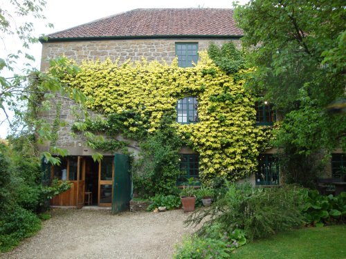 East Lambrook Manor, June 2009