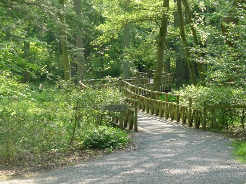 Bog Garden, Thorp Perrow Arboretum