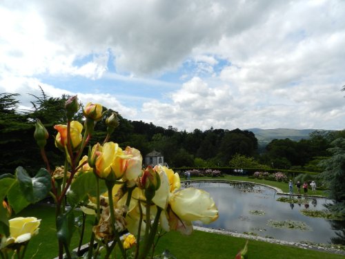 Bodnant Garden, June 2011